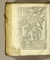 An illustration from Llibre de la congregacio, y germandat de la Sanctissima Verge del Socorro, ab vna noua, y perpetua capellania de innumerables Misses pera los vius, y difuncts della; en la qual, qui viu pot aggregar al mort, que vulga : fundada en los collegis de la Compañia de Iesus de la ciutat de Sancta Fe del nou regne de Granada, y de la fidelissima vila de Perpinya (1666)