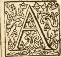 Picture 19 of 35 from Life eternall, or, A treatise of the knowledge of the divine essence and attributes : delivered in xviii sermons (1631), leaf 236