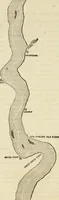 Picture 55 of 128 from Lloyd's steamboat directory, and disasters on the western waters (1856), leaf 173