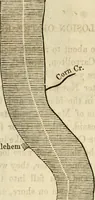 An illustration from Lloyd's steamboat directory, and disasters on the western waters (1856)