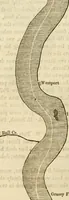 An illustration from Lloyd's steamboat directory, and disasters on the western waters (1856)