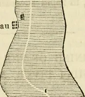 Picture 14 of 128 from Lloyd's steamboat directory, and disasters on the western waters (1856), leaf 69