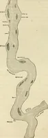 An illustration from Lloyd's steamboat directory, and disasters on the western waters (1856)