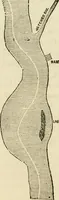 An illustration from Lloyd's steamboat directory, and disasters on the western waters (1856)