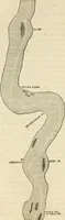 An illustration from Lloyd's steamboat directory, and disasters on the western waters (1856)