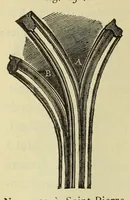 Picture 9 of 38 from Éléments d'archéologie chrétienne (1885), leaf 128