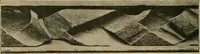 An illustration from Éléments de composition décorative; cent thêmes de décoration plane (1912)