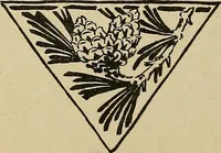 An illustration from Éléments de composition décorative; cent thêmes de décoration plane (1912)