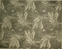 An illustration from Éléments de composition décorative; cent thêmes de décoration plane (1912)