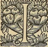 An illustration from Éléments de composition décorative; cent thêmes de décoration plane (1912)