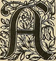 An illustration from Éléments de composition décorative; cent thêmes de décoration plane (1912)