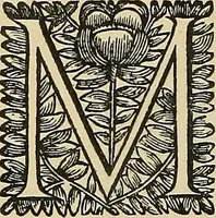 An illustration from Éléments de composition décorative; cent thêmes de décoration plane (1912)