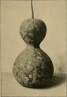 An illustration from Éléments de composition décorative; cent thêmes de décoration plane (1912)