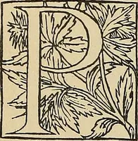 An illustration from Éléments de composition décorative; cent thêmes de décoration plane (1912)