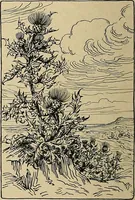 An illustration from Éléments de composition décorative; cent thêmes de décoration plane (1912)