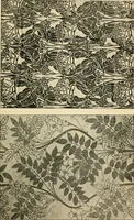 An illustration from Éléments de composition décorative; cent thêmes de décoration plane (1912)