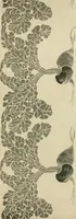 An illustration from Éléments de composition décorative; cent thêmes de décoration plane (1912)