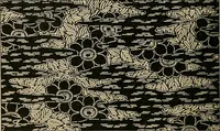 An illustration from Éléments de composition décorative; cent thêmes de décoration plane (1912)