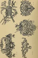An illustration from Éléments de composition décorative; cent thêmes de décoration plane (1912)