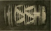 An illustration from Éléments de composition décorative; cent thêmes de décoration plane (1912)