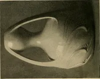 An illustration from Éléments de composition décorative; cent thêmes de décoration plane (1912)