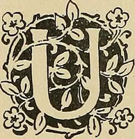 An illustration from Éléments de composition décorative; cent thêmes de décoration plane (1912)