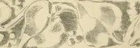 An illustration from Éléments de composition décorative; cent thêmes de décoration plane (1912)