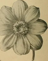 An illustration from Éléments de composition décorative; cent thêmes de décoration plane (1912)