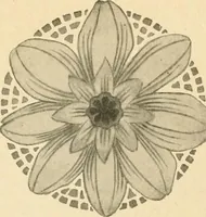 An illustration from Éléments de composition décorative; cent thêmes de décoration plane (1912)