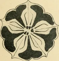 An illustration from Éléments de composition décorative; cent thêmes de décoration plane (1912)