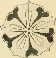 An illustration from Éléments de composition décorative; cent thêmes de décoration plane (1912)