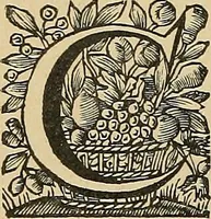 An illustration from Éléments de composition décorative; cent thêmes de décoration plane (1912)