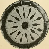 An illustration from Éléments de composition décorative; cent thêmes de décoration plane (1912)