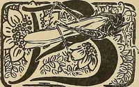 An illustration from Éléments de composition décorative; cent thêmes de décoration plane (1912)