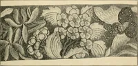 An illustration from Éléments de composition décorative; cent thêmes de décoration plane (1912)