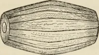 An illustration from Éléments d'épigraphie assyrienne : les écritures cunéiformes, exposé des travaux qui ont préparé la lecture et l'interprétation des inscriptions de la Perse et de l'Assyrie (1864)