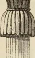 An illustration from Éléments d'épigraphie assyrienne : les écritures cunéiformes, exposé des travaux qui ont préparé la lecture et l'interprétation des inscriptions de la Perse et de l'Assyrie (1864)