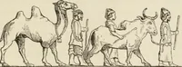 An illustration from Éléments d'épigraphie assyrienne : les écritures cunéiformes, exposé des travaux qui ont préparé la lecture et l'interprétation des inscriptions de la Perse et de l'Assyrie (1864)