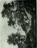 An illustration from Catalogue of a loan exhibition of paintings by old Dutch masters held at the Metropolitan Museum of Art in connection with the Hudson-Fulton celebration, September-November, MCMIX (1910)