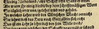 An illustration from Lobspruch vber die herrliche Victori. in Eroberung der Silberflotta, in dem Bay. Matanea, vnter dem Commando des e. vnnd manhafften Peter Peters Heyn, wie auch die Eroberung der zwo Galleonen, so auss Honduras kommen seyn. Zugeschrieben den Herrn Gewinthebbern der geoctroijrden vnd von Gott gesegneten West Indianischen Compagny (1629)