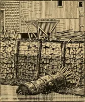 Picture 54 of 60 from The Locomotive (1867), leaf 183