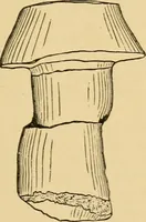 An illustration from The Locomotive (1867)
