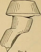 Picture 17 of 60 from The Locomotive (1867), leaf 31