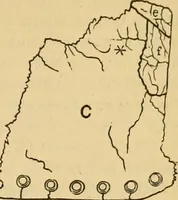 An illustration from The Locomotive (1867)
