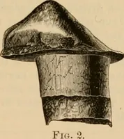 Picture 47 of 63 from The Locomotive (1867), leaf 110