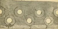 Picture 30 of 36 from The Locomotive (1867), leaf 164