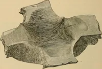 An illustration from The Locomotive (1867)