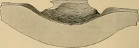An illustration from The Locomotive (1867)