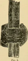 An illustration from The Locomotive (1867)