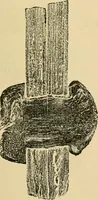 An illustration from The Locomotive (1867)